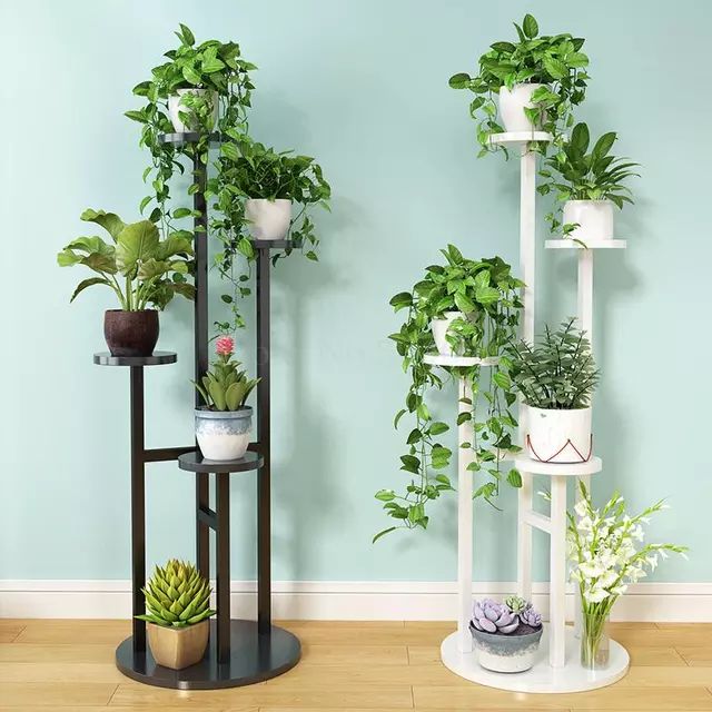 Space-Saving Plant Rack